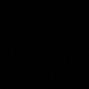 Meet your Posher, Griselda